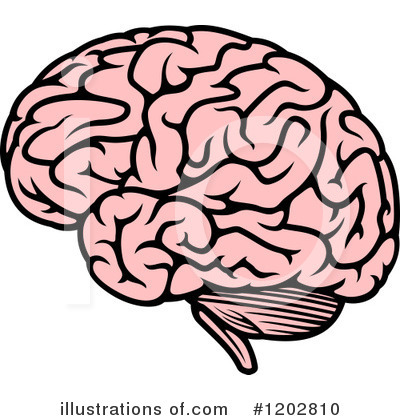 Royalty-Free (RF) Brain Clipart Illustration by Vector Tradition SM - Stock Sample #1202810