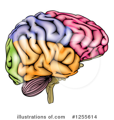 Royalty-Free (RF) Brain Clipart Illustration by AtStockIllustration - Stock Sample #1255614