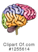 Brain Clipart #1255614 by AtStockIllustration