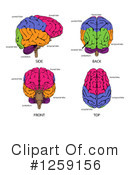 Brain Clipart #1259156 by AtStockIllustration