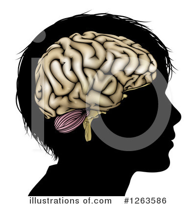 Royalty-Free (RF) Brain Clipart Illustration by AtStockIllustration - Stock Sample #1263586