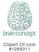 Brain Clipart #1289311 by AtStockIllustration