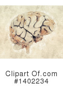 Brain Clipart #1402234 by KJ Pargeter