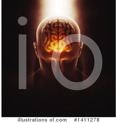 Brain Clipart #1411278 by KJ Pargeter