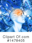 Brain Clipart #1478405 by KJ Pargeter