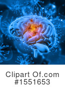 Brain Clipart #1551653 by KJ Pargeter