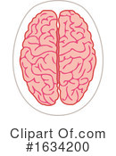 Brain Clipart #1634200 by NL shop