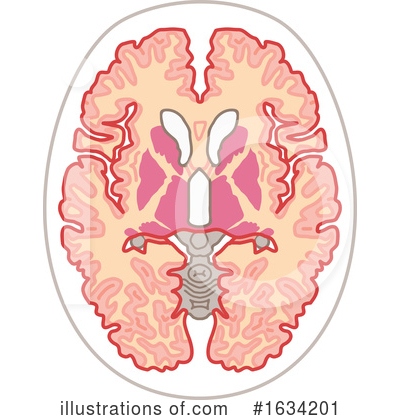 Royalty-Free (RF) Brain Clipart Illustration by NL shop - Stock Sample #1634201