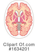 Brain Clipart #1634201 by NL shop
