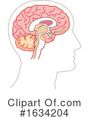 Brain Clipart #1634204 by NL shop