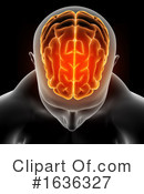 Brain Clipart #1636327 by KJ Pargeter