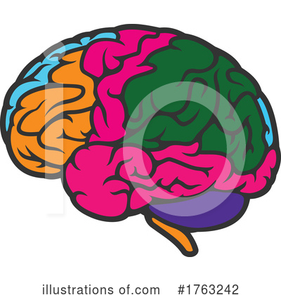 Brain Clipart #1763242 by Vector Tradition SM
