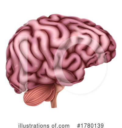 Royalty-Free (RF) Brain Clipart Illustration by AtStockIllustration - Stock Sample #1780139