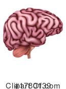 Brain Clipart #1780139 by AtStockIllustration