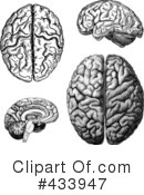 Brain Clipart #433947 by BestVector