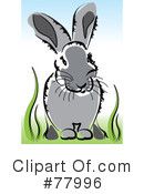 Bunny Clipart #77996 by kaycee