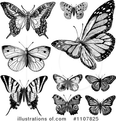 Royalty-Free (RF) Butterflies Clipart Illustration by BestVector - Stock Sample #1107825
