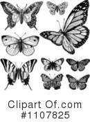 Butterflies Clipart #1107825 by BestVector