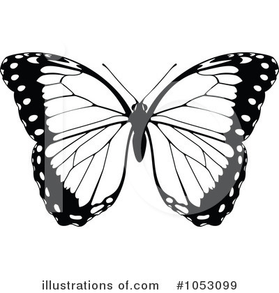 Royalty-Free (RF) Butterfly Clipart Illustration by AtStockIllustration - Stock Sample #1053099