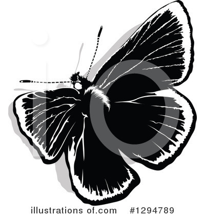 Royalty-Free (RF) Butterfly Clipart Illustration by dero - Stock Sample #1294789