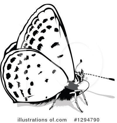 Royalty-Free (RF) Butterfly Clipart Illustration by dero - Stock Sample #1294790