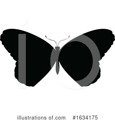 Royalty-Free (RF) Butterfly Clipart Illustration by AtStockIllustration - Stock Sample #1634175