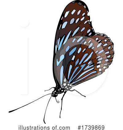 Royalty-Free (RF) Butterfly Clipart Illustration by dero - Stock Sample #1739869