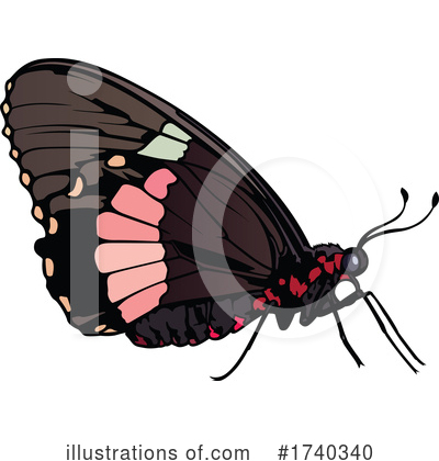 Royalty-Free (RF) Butterfly Clipart Illustration by dero - Stock Sample #1740340