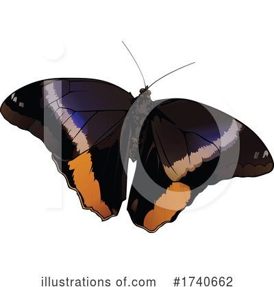 Royalty-Free (RF) Butterfly Clipart Illustration by dero - Stock Sample #1740662