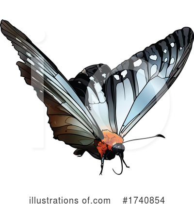 Royalty-Free (RF) Butterfly Clipart Illustration by dero - Stock Sample #1740854