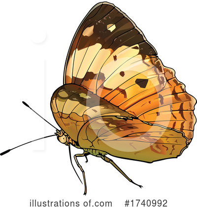 Royalty-Free (RF) Butterfly Clipart Illustration by dero - Stock Sample #1740992