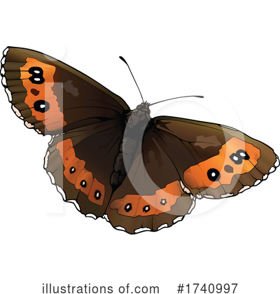 Royalty-Free (RF) Butterfly Clipart Illustration by dero - Stock Sample #1740997