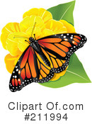 Butterfly Clipart #211994 by Pushkin