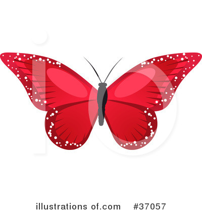 Butterflies Clipart #37057 by elaineitalia