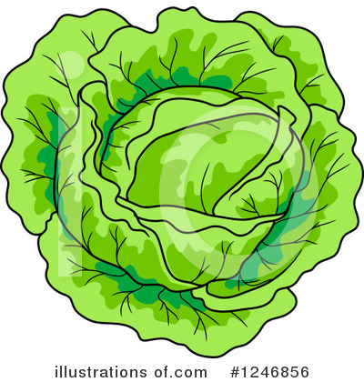 Royalty-Free (RF) Cabbage Clipart Illustration by Vector Tradition SM - Stock Sample #1246856