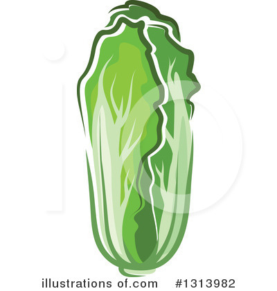 Royalty-Free (RF) Cabbage Clipart Illustration by Vector Tradition SM - Stock Sample #1313982