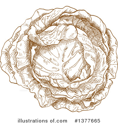 Royalty-Free (RF) Cabbage Clipart Illustration by Vector Tradition SM - Stock Sample #1377665