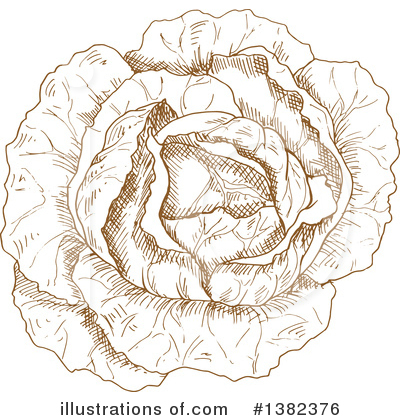 Royalty-Free (RF) Cabbage Clipart Illustration by Vector Tradition SM - Stock Sample #1382376