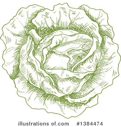 Royalty-Free (RF) Cabbage Clipart Illustration by Vector Tradition SM - Stock Sample #1384474