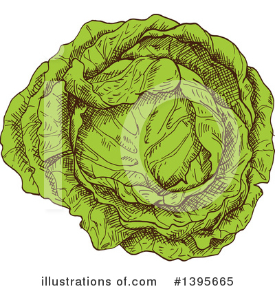 Royalty-Free (RF) Cabbage Clipart Illustration by Vector Tradition SM - Stock Sample #1395665