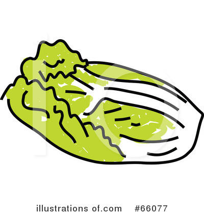 Royalty-Free (RF) Cabbage Clipart Illustration by Prawny - Stock Sample #66077