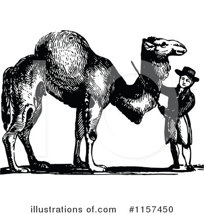 Camel Clipart #1157450 by Prawny Vintage