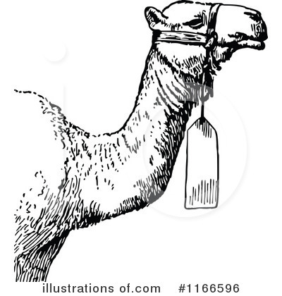 Camel Clipart #1166596 by Prawny Vintage