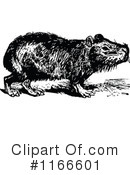 Capybara Clipart #1166601 by Prawny Vintage