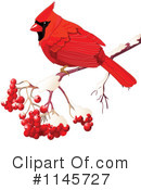 Cardinal Clipart #1145727 by Pushkin