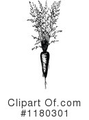 Carrot Clipart #1180301 by Prawny Vintage