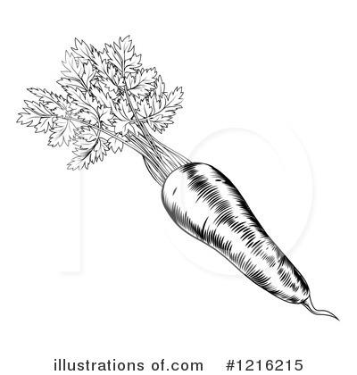 Royalty-Free (RF) Carrot Clipart Illustration by AtStockIllustration - Stock Sample #1216215