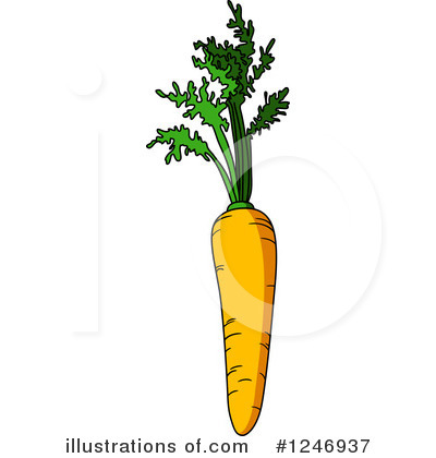 Royalty-Free (RF) Carrot Clipart Illustration by Vector Tradition SM - Stock Sample #1246937