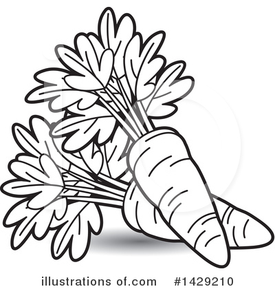 Carrot Clipart #1429210 by Lal Perera
