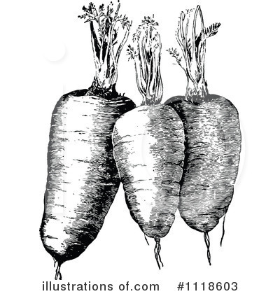 Royalty-Free (RF) Carrots Clipart Illustration by Prawny Vintage - Stock Sample #1118603